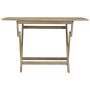 Mesa de jardín plegable madera maciza de teca 120x70x75 cm