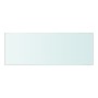Panel de estante vidrio claro 40x12 cm