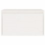 Armario de pared madera maciza de pino blanco 60x30x35 cm