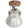 Lámparas de pared/techo industrial 2 uds plateada 20x25 cm E27