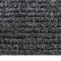 Alfombra de pasillo atrapa suciedad 100x250 cm gris antracita