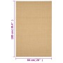 Alfombra de sisal natural 66x100 cm