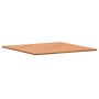 Tablero de mesa cuadrado de madera maciza de haya 80x80x1,5 cm