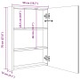 Armario de baño con espejo y luz LED gris 50x13x70 cm