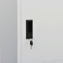 Armario de acero gris claro 80x50x180 cm