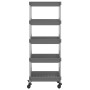 Carrito de cocina 5 niveles hierro y ABS gris 42x29x128 cm