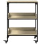 Carrito de cocina madera ingeniería roble Sonoma 60x41x80,5 cm