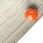 Alfombra de cocina lavable terciopelo tomates 60x300 cm