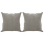 Cojines decorativos 2 uds terciopelo gris claro 40x40 cm