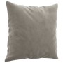 Cojines decorativos 2 uds terciopelo gris claro 40x40 cm