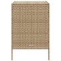 Armario de almacenaje de jardín ratán PE beige 55x59x80 cm