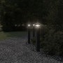 Lámpara de suelo de exterior aluminio negro 80 cm