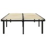 Estructura de cama sin colchón metal negro 180x200 cm