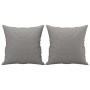 Cojines decorativos 2 uds tela gris claro 40x40 cm