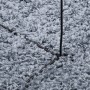 Alfombra peluda de pelo largo moderna PAMPLONA azul 240x240 cm