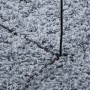 Alfombra peluda de pelo largo moderna PAMPLONA azul Ø 200 cm