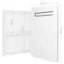 Armario de baño con espejo LED blanco brillante 60x11x80 cm
