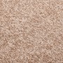 Felpudo beige 60x80 cm