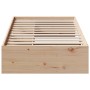 Sofá cama sin colchón madera maciza de pino 90x190 cm