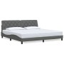 Cama sin colchón tela gris oscuro 200x200 cm