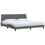 Cama sin colchón tela gris oscuro 200x200 cm
